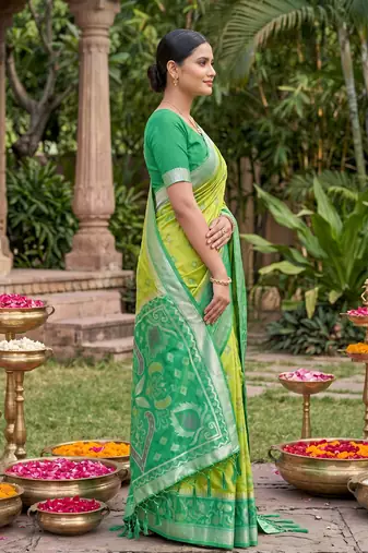 light green pochampalli silk blend saree 