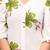 Womens green self design cotton fabric kurtis 3/4 sleeves v-neck