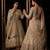 BEIGE BUTTERFLY NET PARTY WEAR EMBROIDERY LEHNGHA CHOLI 