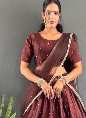 Brown Stylist South style Lehenga Choli Set 2
