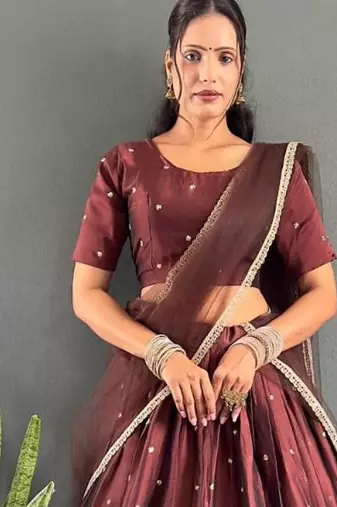 Brown Stylist South style Lehenga Choli Set