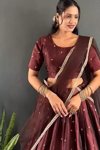 Brown Stylist South style Lehenga Choli Set