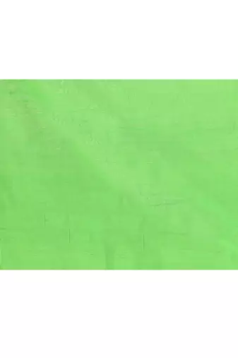 Women's green embellished cotton blend jamdani saree