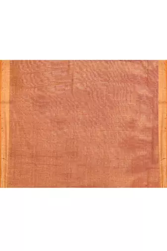 Women's brown embellished tissue jamdani saree
