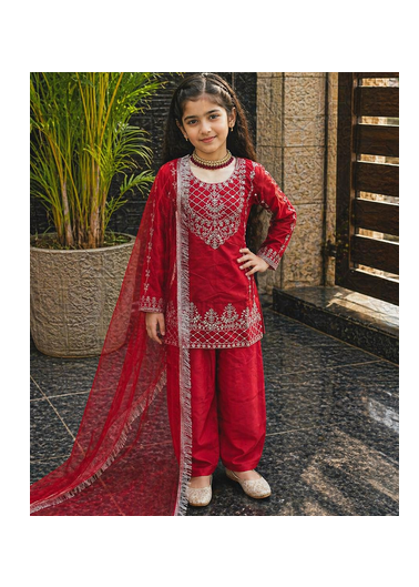 Natural Pure Heavy Creap Embroidery Work Red Readymade Salwar Suit 6