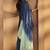 Blue cotton blend embroidered kurta pant with chanderi jacquard dupatta