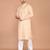 Men's woven design mandarin collar cotton straight kurta