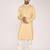 Men's woven design mandarin collar cotton straight kurta