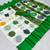 Green printed satin border saree with unstitched blouse
