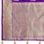 Dark purple saree with heavy jacquard work saree with blouse piece
