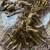  Olive Color Embroidery Sequence Work Silk Saree
