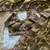  Olive Color Embroidery Sequence Work Silk Saree
