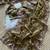  Olive Color Embroidery Sequence Work Silk Saree