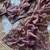 Lavender  Color Embroidery Sequence Work Silk Saree