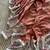 Brown  Color Digital Bandhani  Printed  And Katha Work Silk Saree