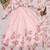 Womens printed anarkali gown set
