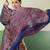 BLUE modal satin printed saree with matching blouse