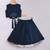 Dark blue embroidered cotton silk lehenga set