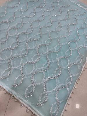 Sky blue net embroidered saree with sequins work 3