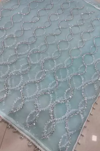 Sky blue net embroidered saree with sequins work