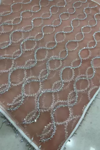 Beige net embroidered saree with sequins work