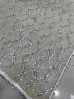 Cream net embroidered saree with sequins work 2