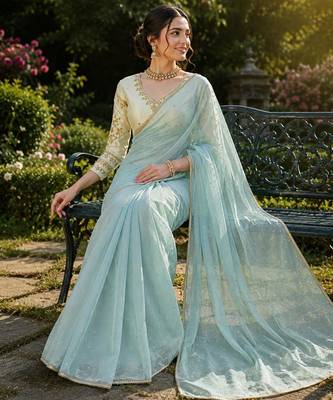 Sky blue net embroidered saree with sequins work 2