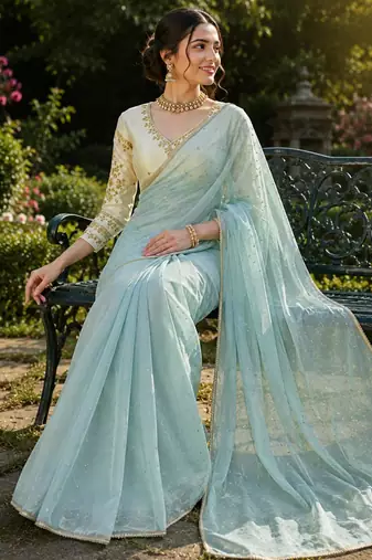 Sky blue net embroidered saree with sequins work