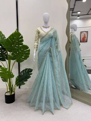 Sky blue net embroidered saree with sequins work 3