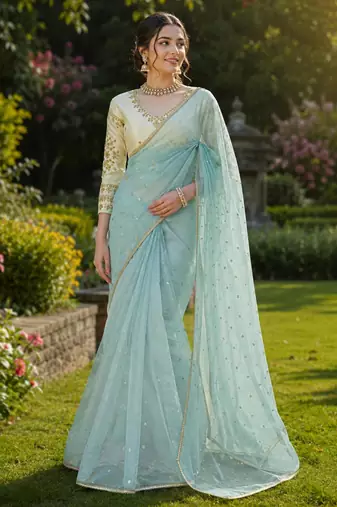 Sky blue net embroidered saree with sequins work