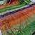Multicolor silk blend printed saree with sequins work