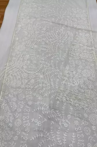 Off white net embroidered saree