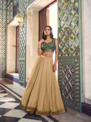 Chiku sequins work lehenga Choli Set 4