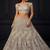 White Peacock Pattern Crafted Dori And Thread Zircon Studded Net Lehenga Choli