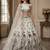 Off White Fancy Embroidery   Peacock Pattern Dori Multi Thread Zircon Net Lehenga Choli