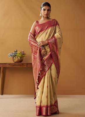 Beige silk blend pochampalli border and pallu 1
