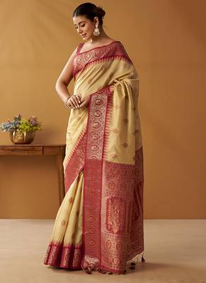 Beige silk blend pochampalli border and pallu 2