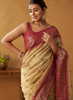 Beige silk blend pochampalli border and pallu 3