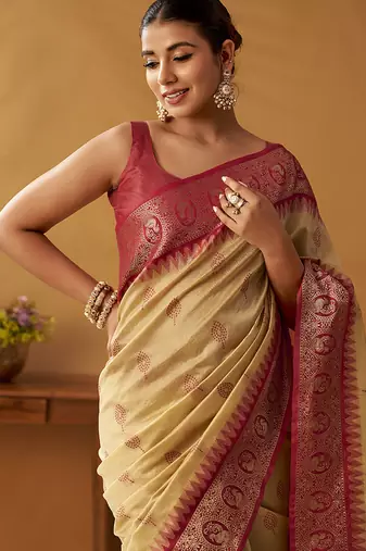 Beige silk blend pochampalli border and pallu