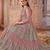 pink Heavy Cording Work Net Gown