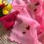 Pink Color  gota work Organza Saree