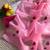 Pink Color  gota work Organza Saree