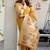 Mustard cotton jacquard woven with zari border & tassels saree with blouse