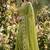 green georgette embroidered work saree with blouse
