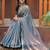 blue chiffon embroidered border saree with embroidered blouse