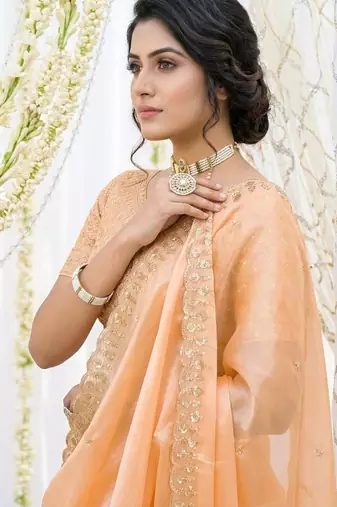 orange fancy silk blend shinning embroidered border & blouse saree