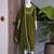 Olive satin embroidered palazzo set