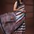 Earthy multicolor malmal cotton saree with block-print style borders and horizontal stripe body