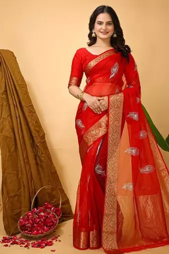 red organza sequin saree