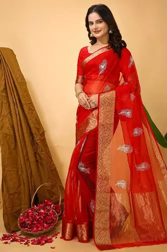 red organza sequin saree
